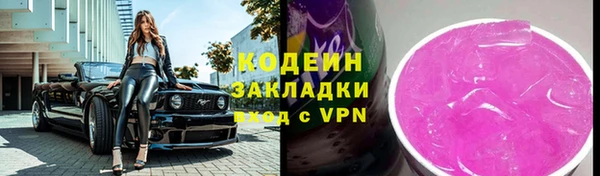 шишки Вяземский