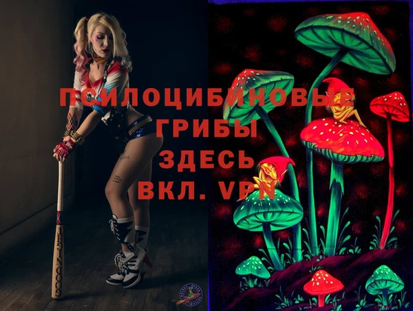 2c-b Вязники