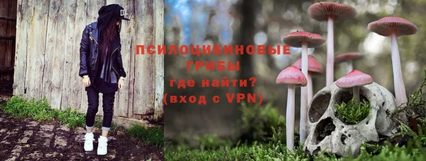 дживик Вязьма