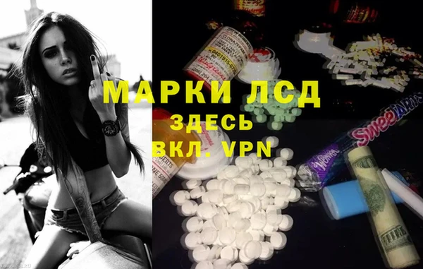 шишки Вяземский