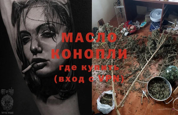 дживик Вязьма