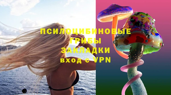 ГАЛЛЮЦИНОГЕННЫЕ ГРИБЫ Волоколамск
