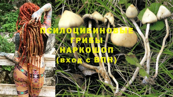 2c-b Вязники
