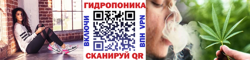 даркнет состав  Заволжск  Бошки марихуана SATIVA & INDICA  KRAKEN вход 